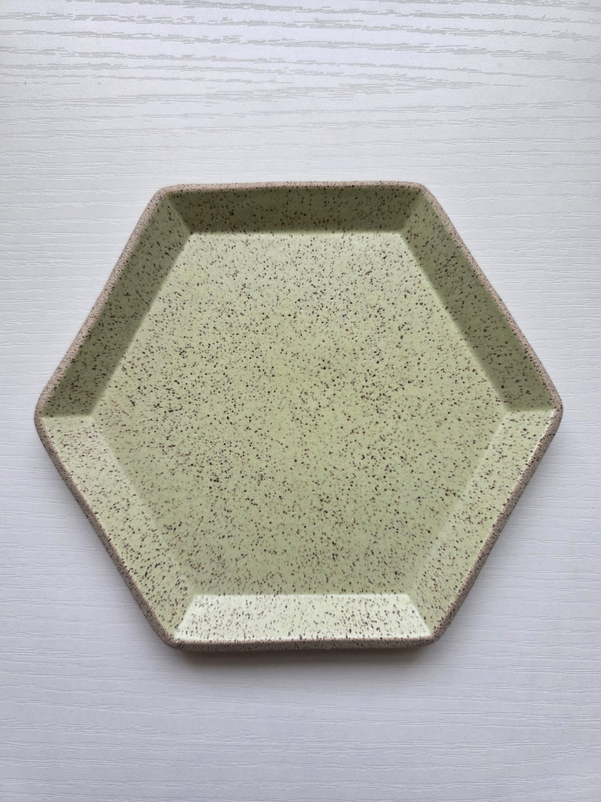 Hexagon Catch-All Dish in Lichen