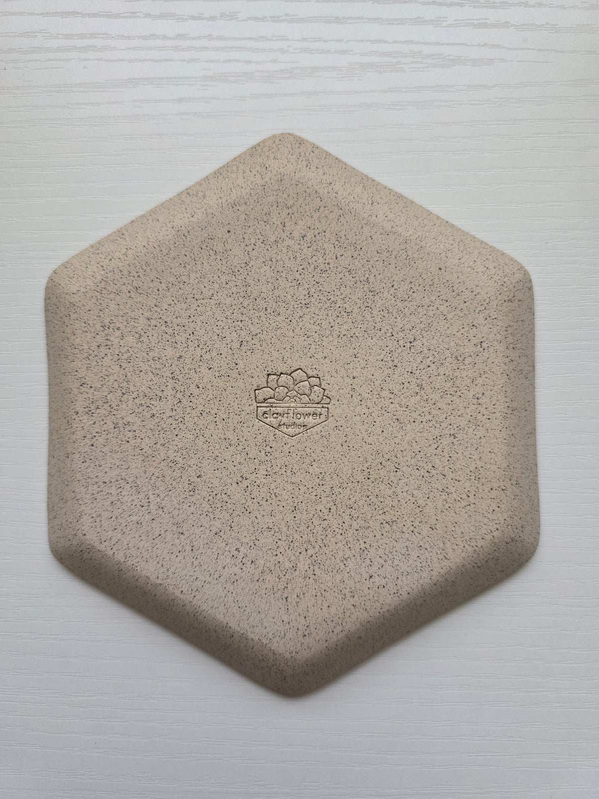 Hexagon Catch-All Dish in Lichen