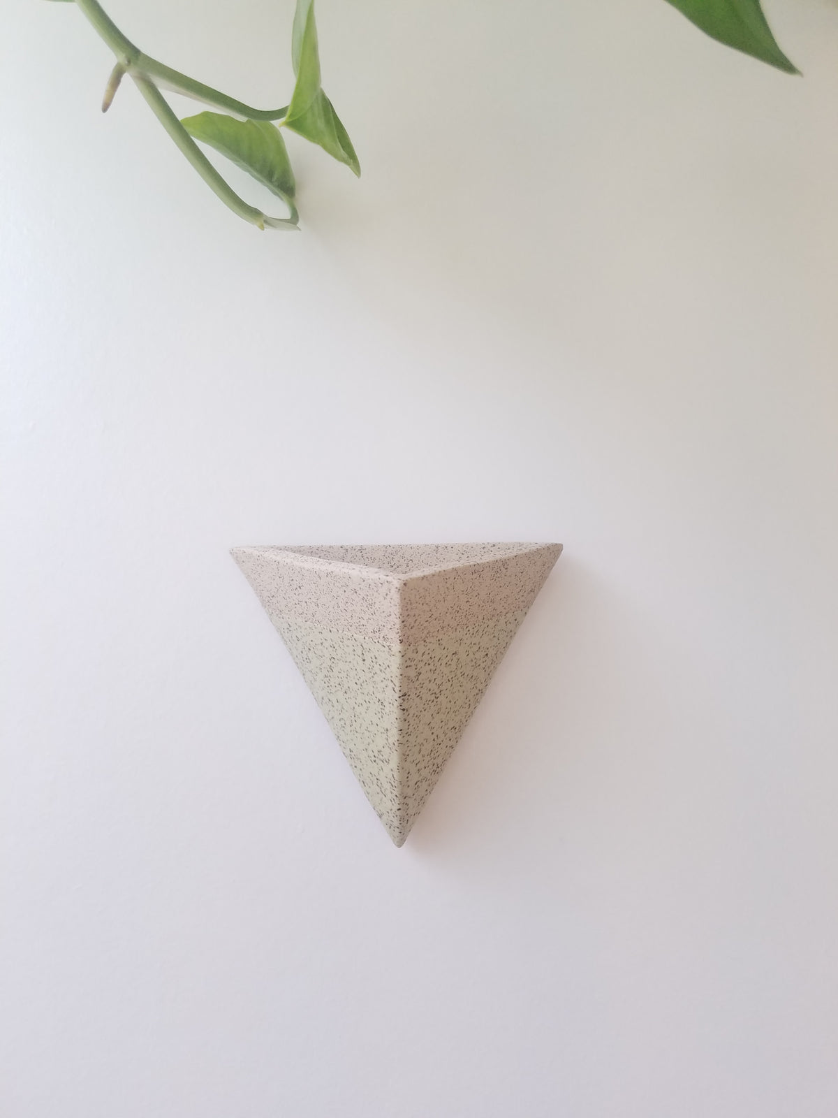 Mini Pocket Magnet Air Plant Holder in Lichen