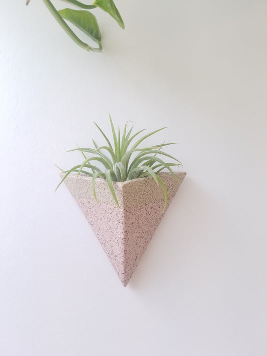 Mini Pocket Magnet Air Plant Holder in Pink Granite