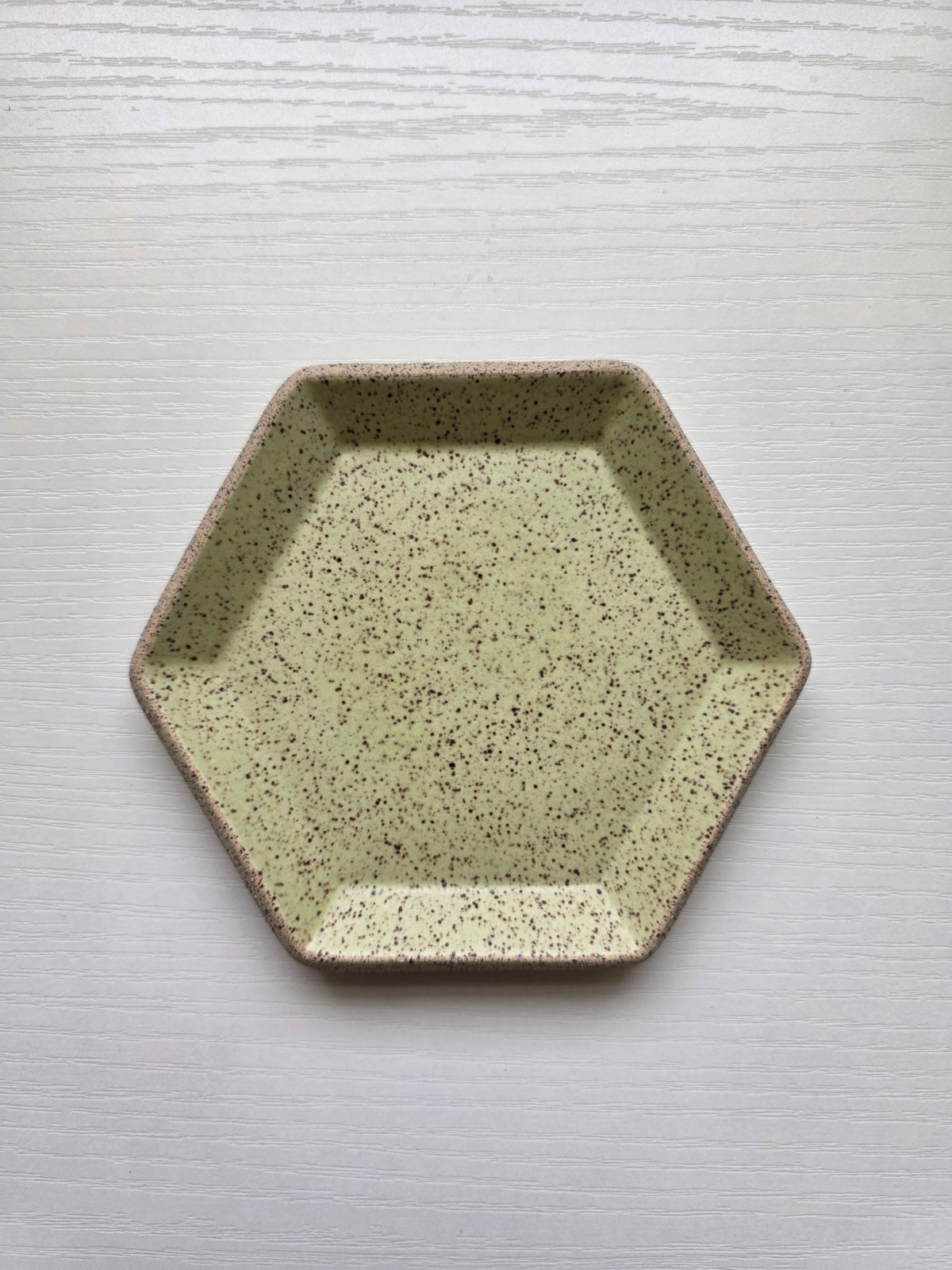 Hexagon Catch-All Dish in Lichen