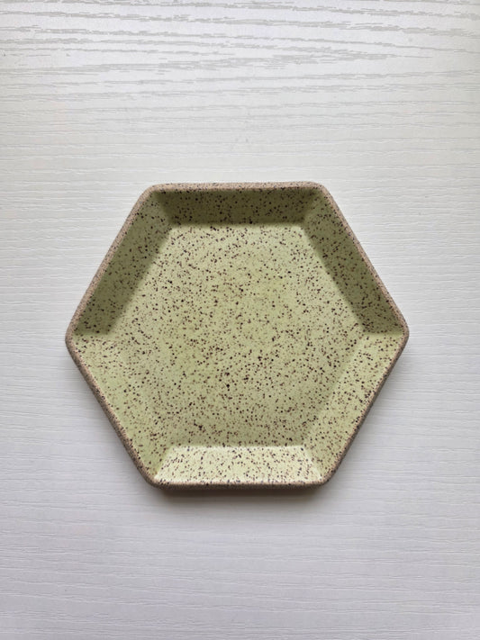 Hexagon Catch-All Dish in Lichen