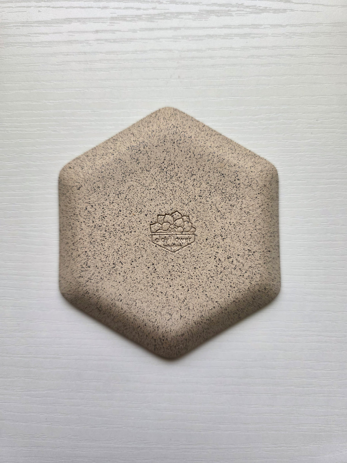 Hexagon Catch-All Dish in Lichen