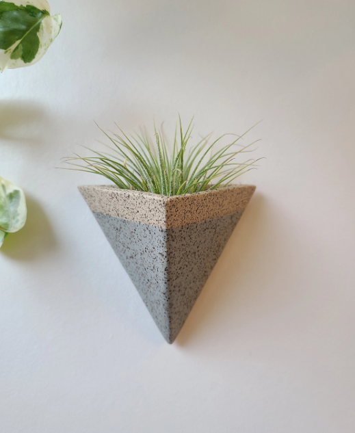 Mini Pocket Magnet Air Plant Holder in Sea Smoke