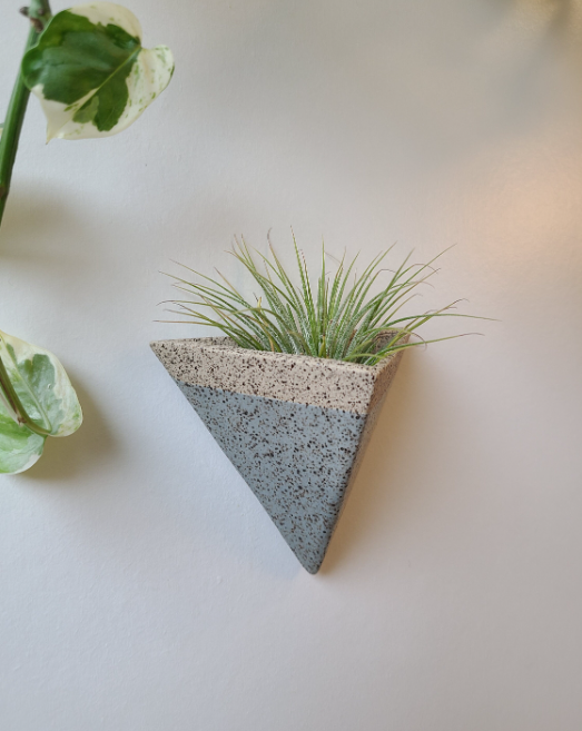 Mini Pocket Magnet Air Plant Holder in Sea Smoke